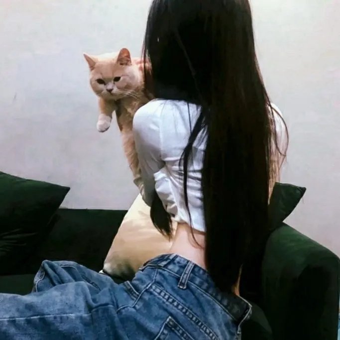 手语的保存